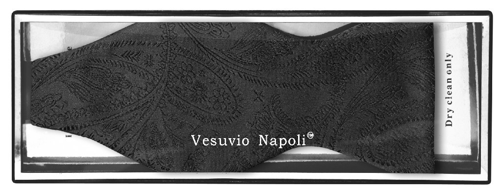 Vesuvio Napoli SELF TIE Bow Tie BLACK Color PAISLEY Design Mens BowTie