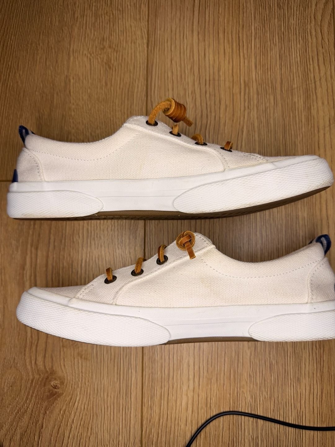Sperry Women’s Pier Wave LTT Canvas Sneaker in White/Off-White