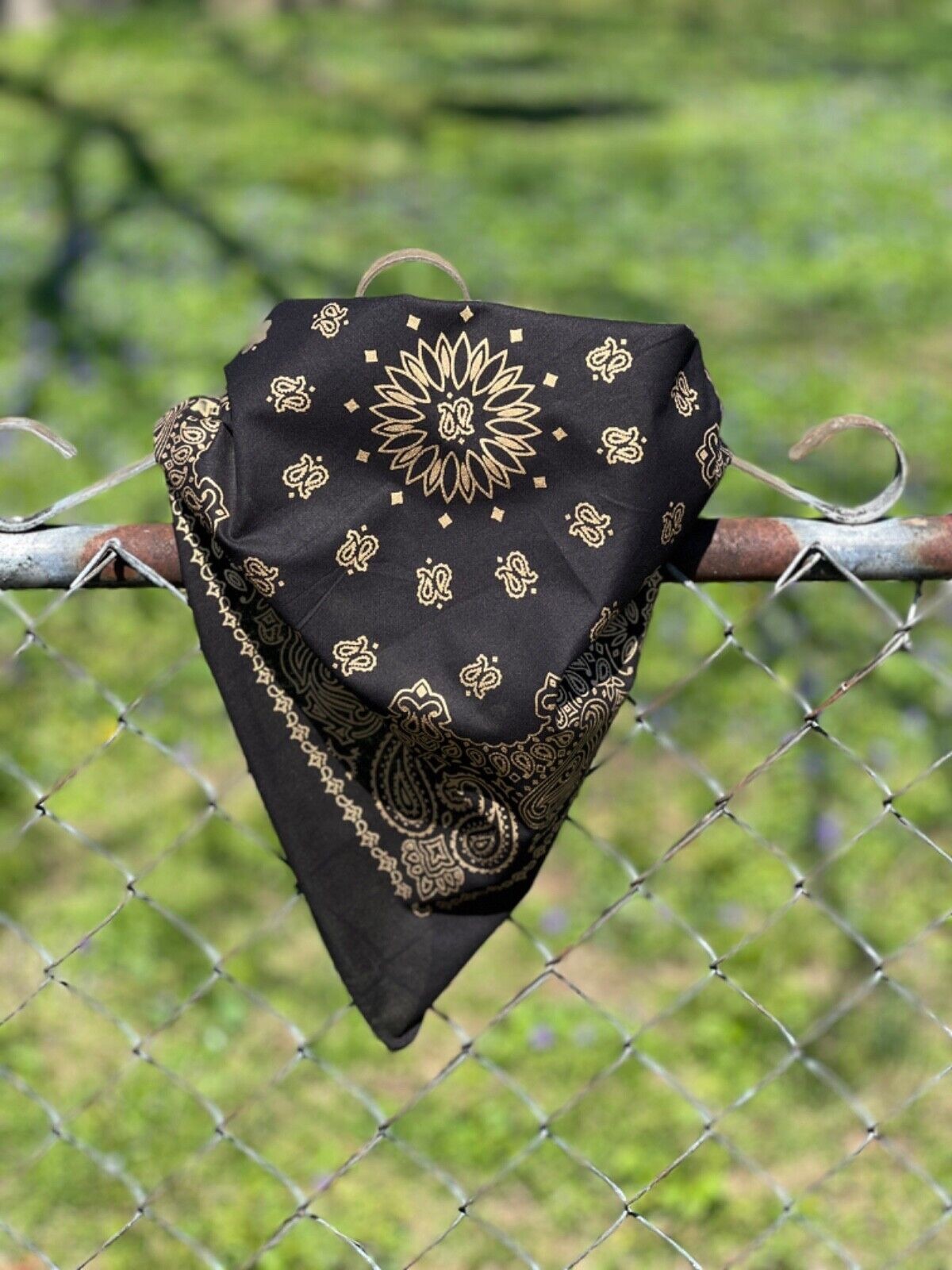 Black/Gold Paisley Bandanna, 22″x22″, Made in India, Hav-A-Hank