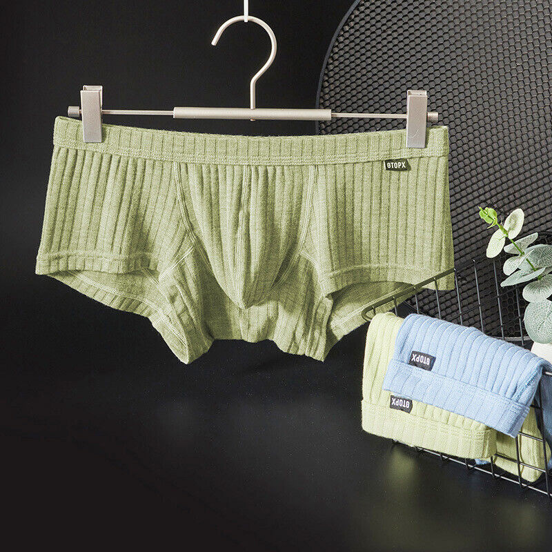 Men’s Sexy Underwear Low waist Briefs U Pouch Boxers Striped Shorts Underpants