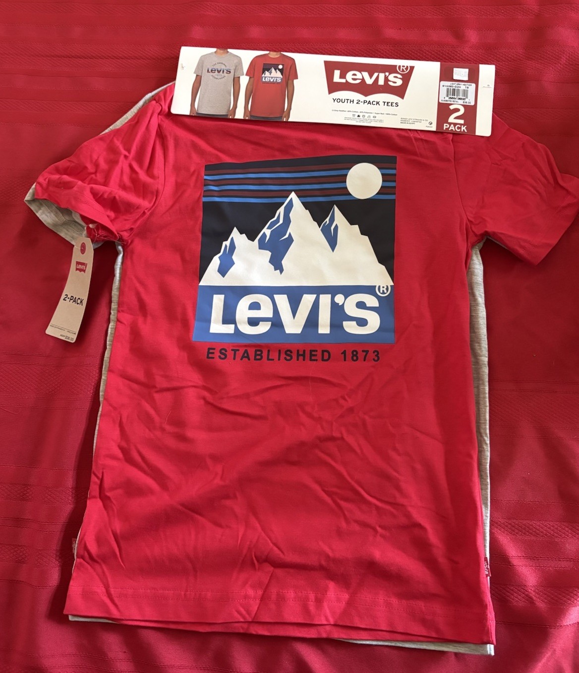 NWT Levi’s Boy’s 2-Pack Short Sleeve Graphic Logo Print Crewneck Tee Size 10/12