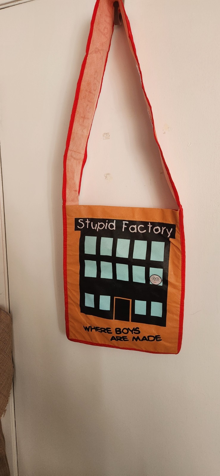 Todd Goldman Stupid Factory David and Goliath Tote Bag Unused “Boys Are Smelly”