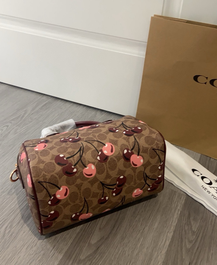 NWT Coach Rowan Satchel Bag In Signature Canvas With Cherry Print CY692
