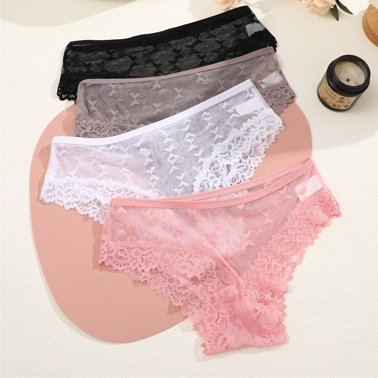 Pack Of 4 Sexy Womens See Through Sheer Panties Brief Lingeries Ladies Underwear