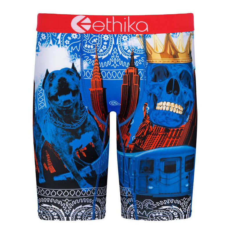 5 Pack Ethika Men’s The Staple Boxer Briefs – Models 2026 (Random Color)