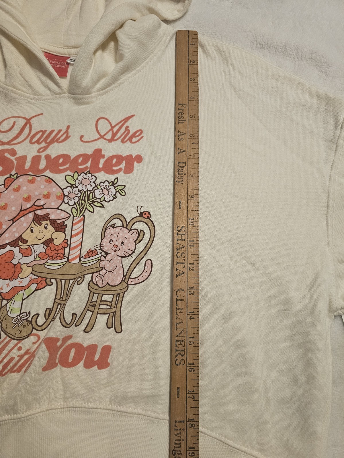 Strawberry Shortcake Womens Pullover Hoodie Days Are Sweeter Size L(12-14) NWT