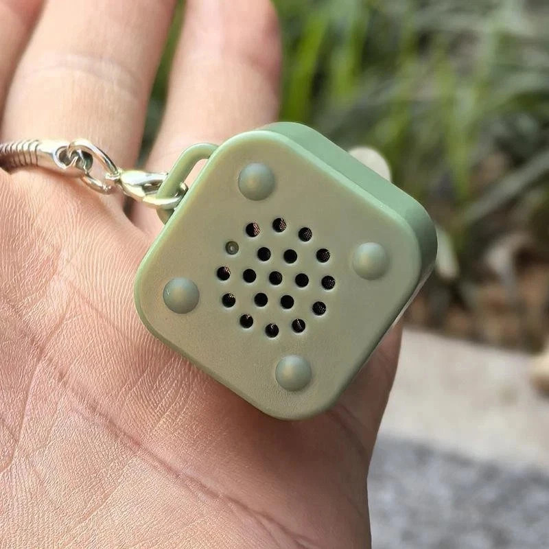 Frog Croaking Fidget Toy Keychain With Colorful Lights Stress Fun Animal Sound