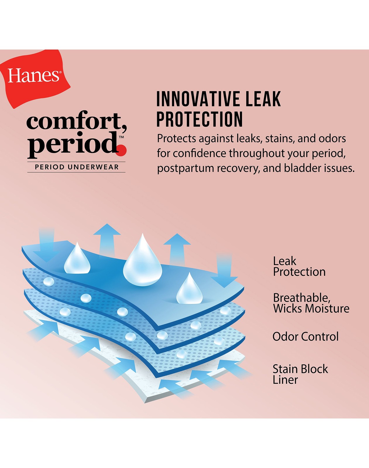 Hanes Brief 3-Pack Panties Fresh & Dry Moderate Leak Protection Womens Underwear