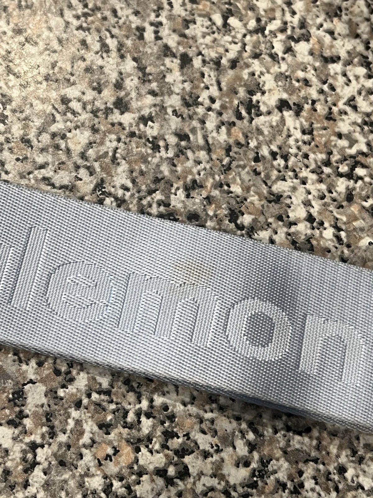 lululemon Gray Logo Strap Key Chain Keyring w/ Silver Carabiner Clip