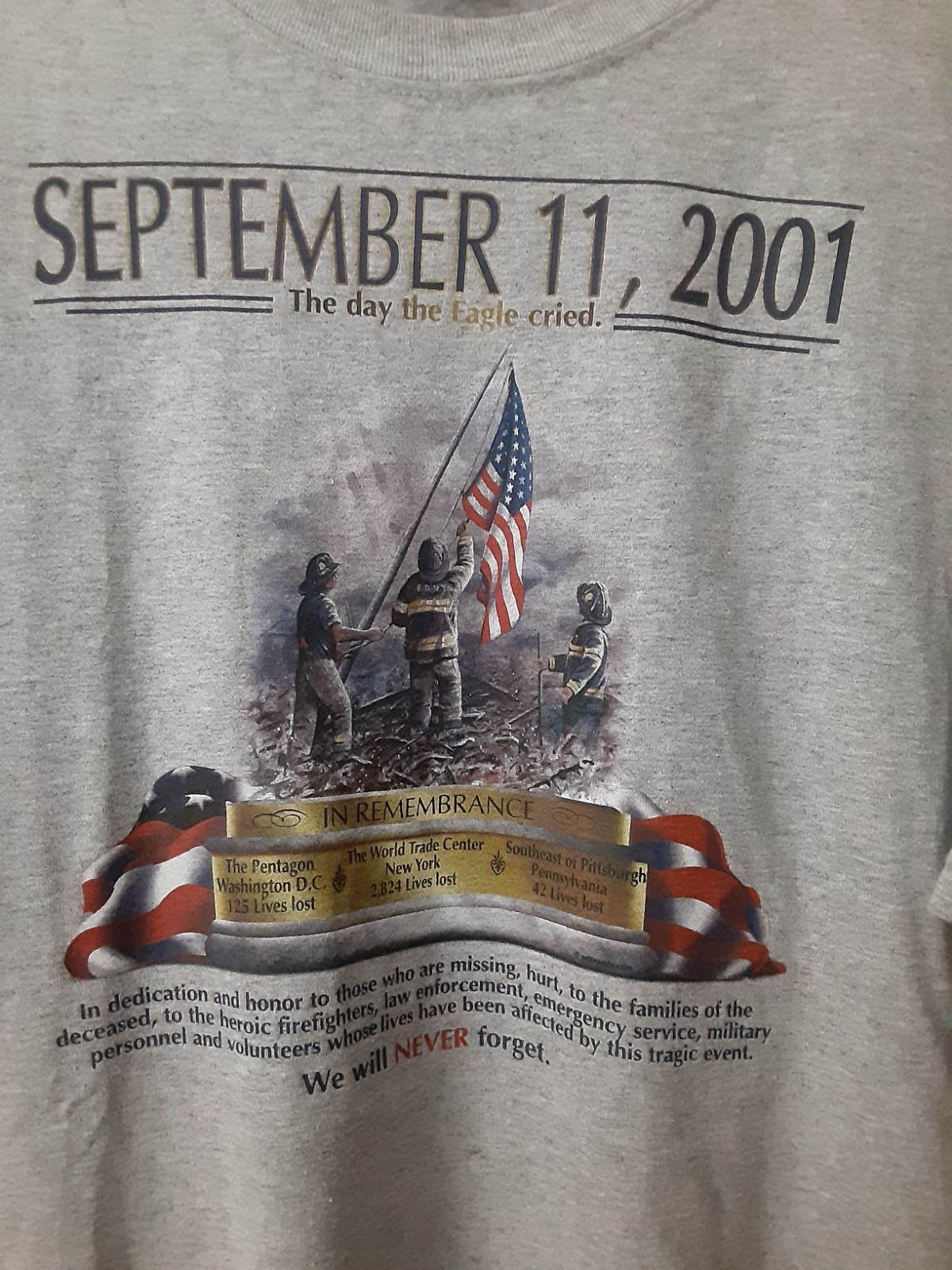 gildan ultra brand xl t-shirt sept 11, 2001 the day the eagle cried memorial…