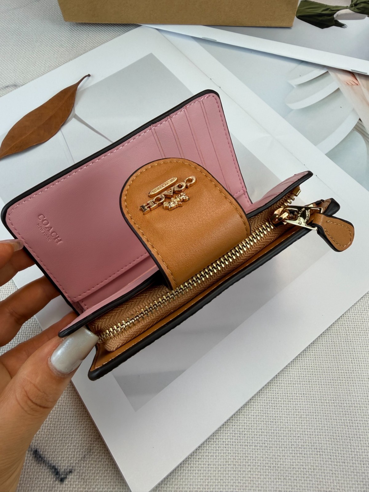 CEC29 Medium Corner Zip Wallet In Signature Canvas Powder Pink