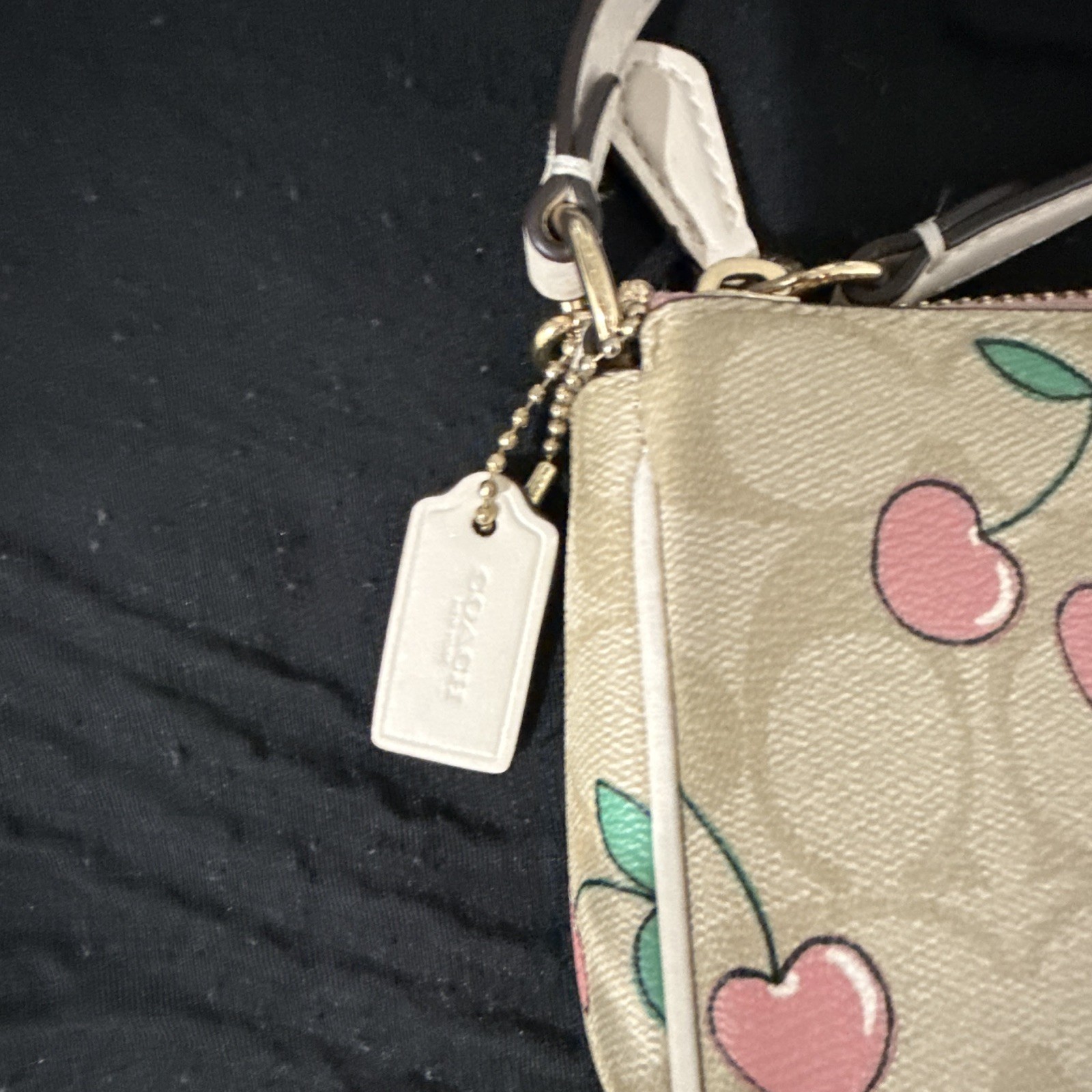 Coach Cherry Print Wristlet Nolita 19