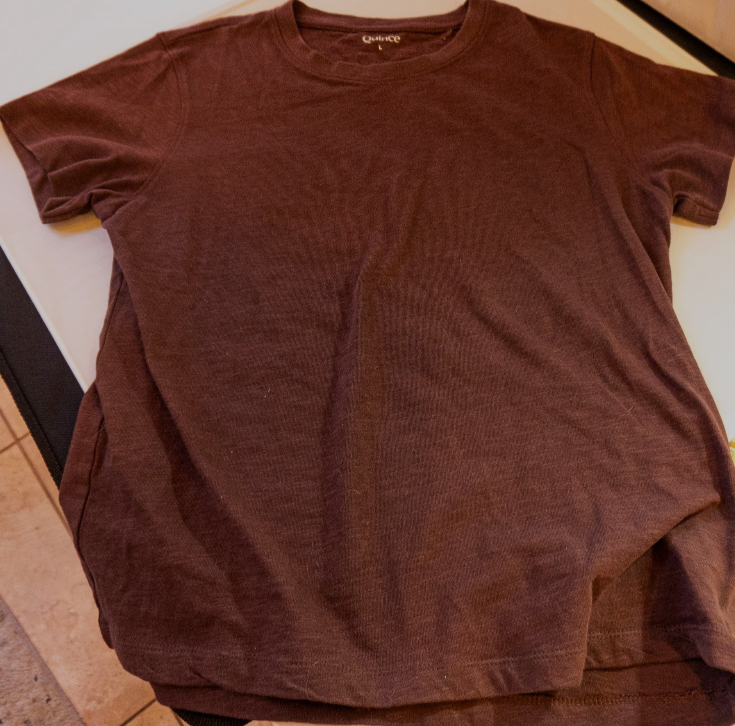 Quince Women’s Minimalist 100% Organic Cotton Tee L Cocoa Brown Quiet Luxury