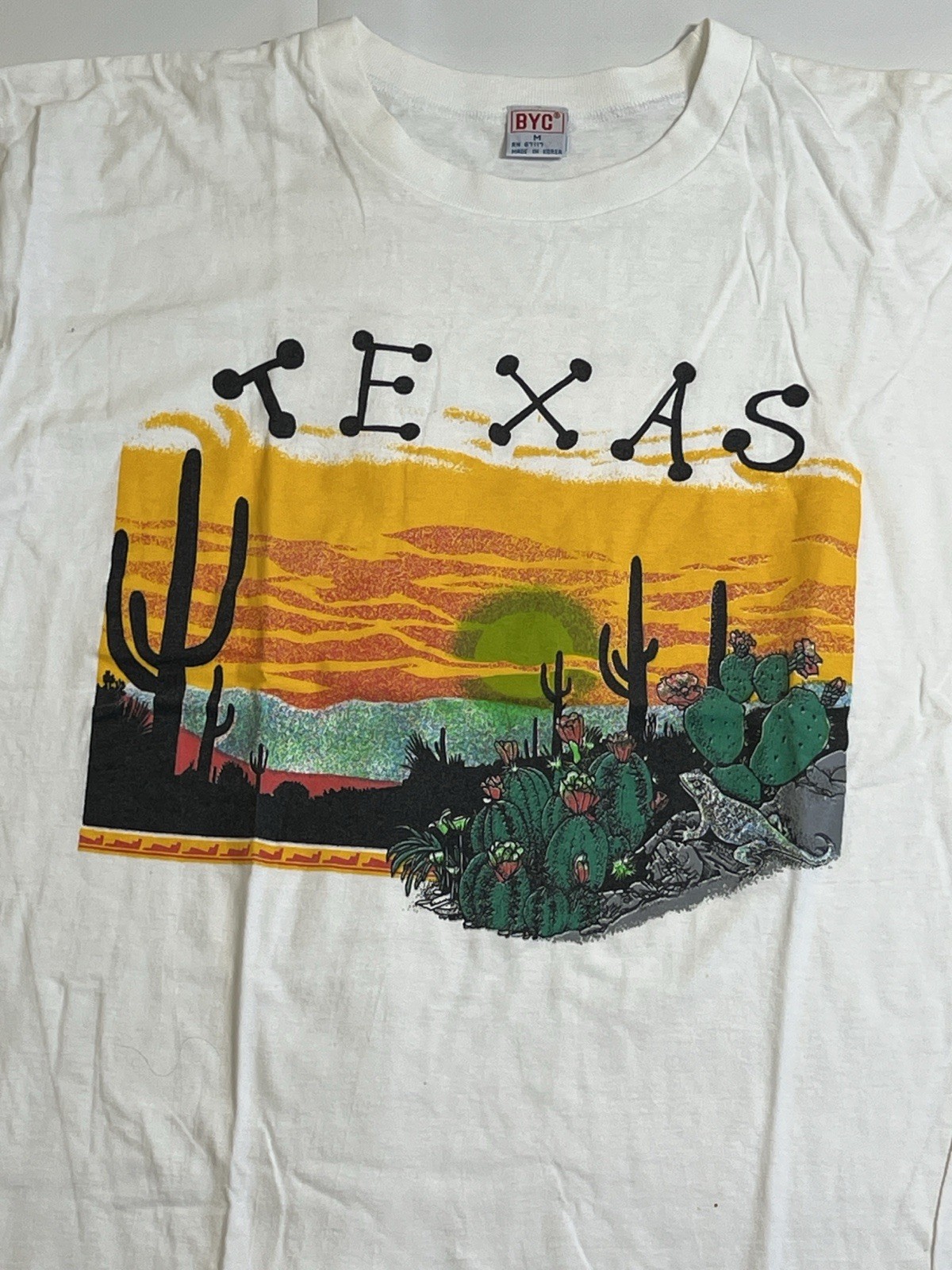 Vintage Texas Desert T-Shirt Cactus Graphic USA BYC Size M 90s