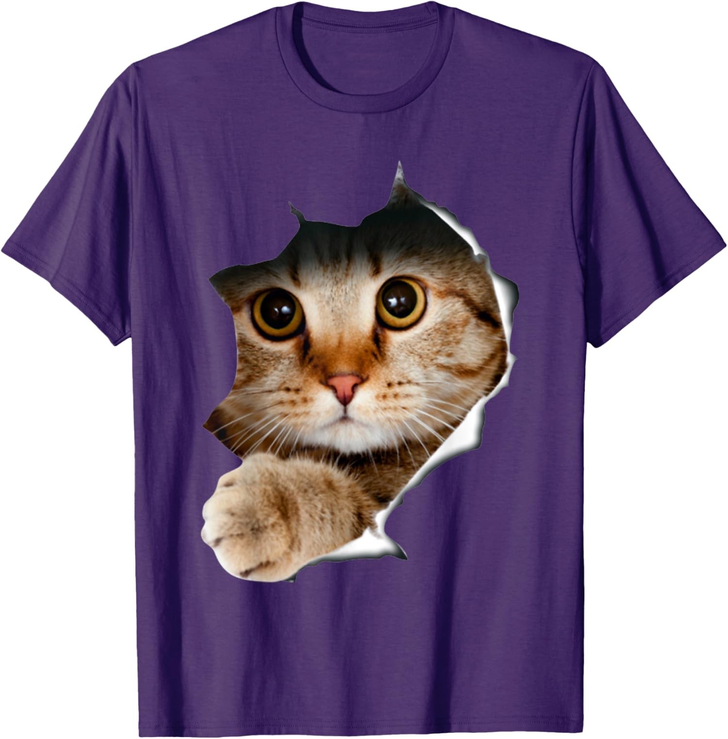 Kitten Lover Cute Kitten Cat Lover Funny And Cute Unisex T-Shirt