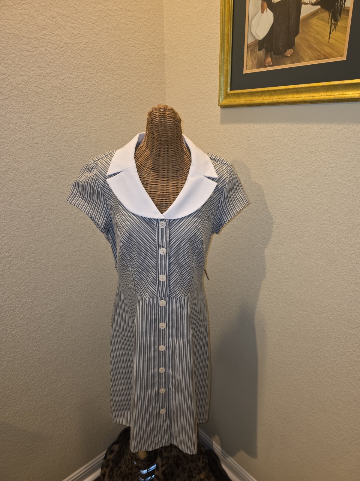 Sweet Retro Dress with Peter Pan Collar Size Large