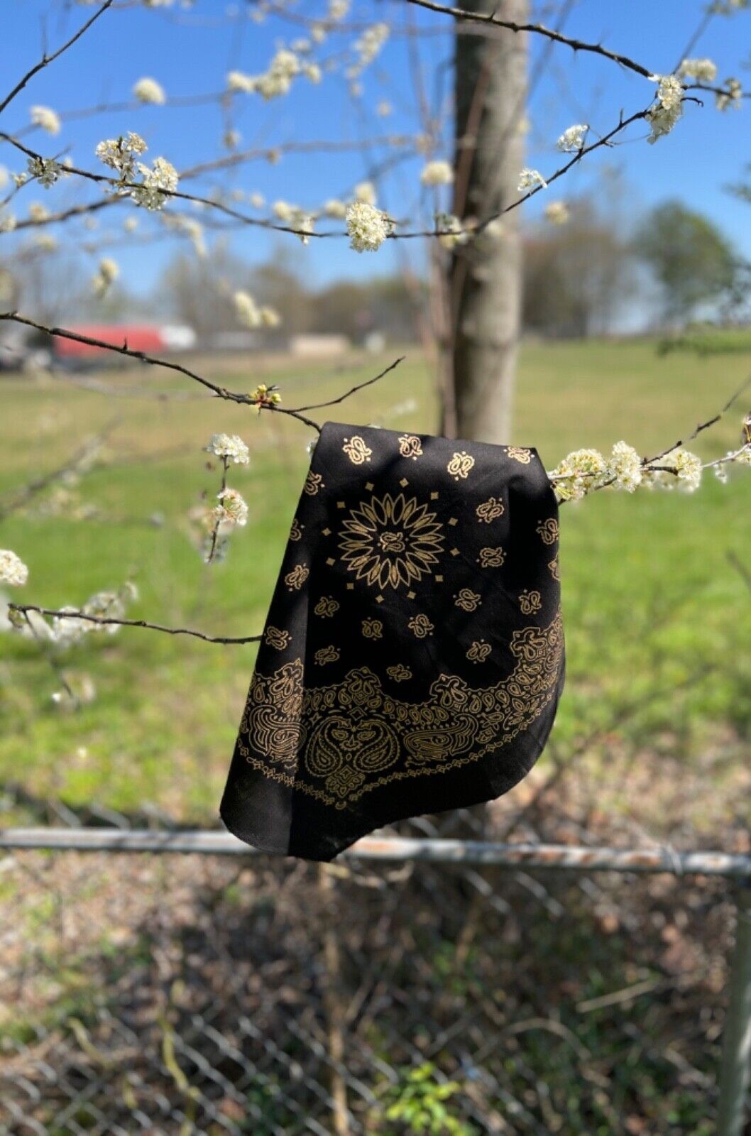 Black/Gold Paisley Bandanna, 22″x22″, Made in India, Hav-A-Hank