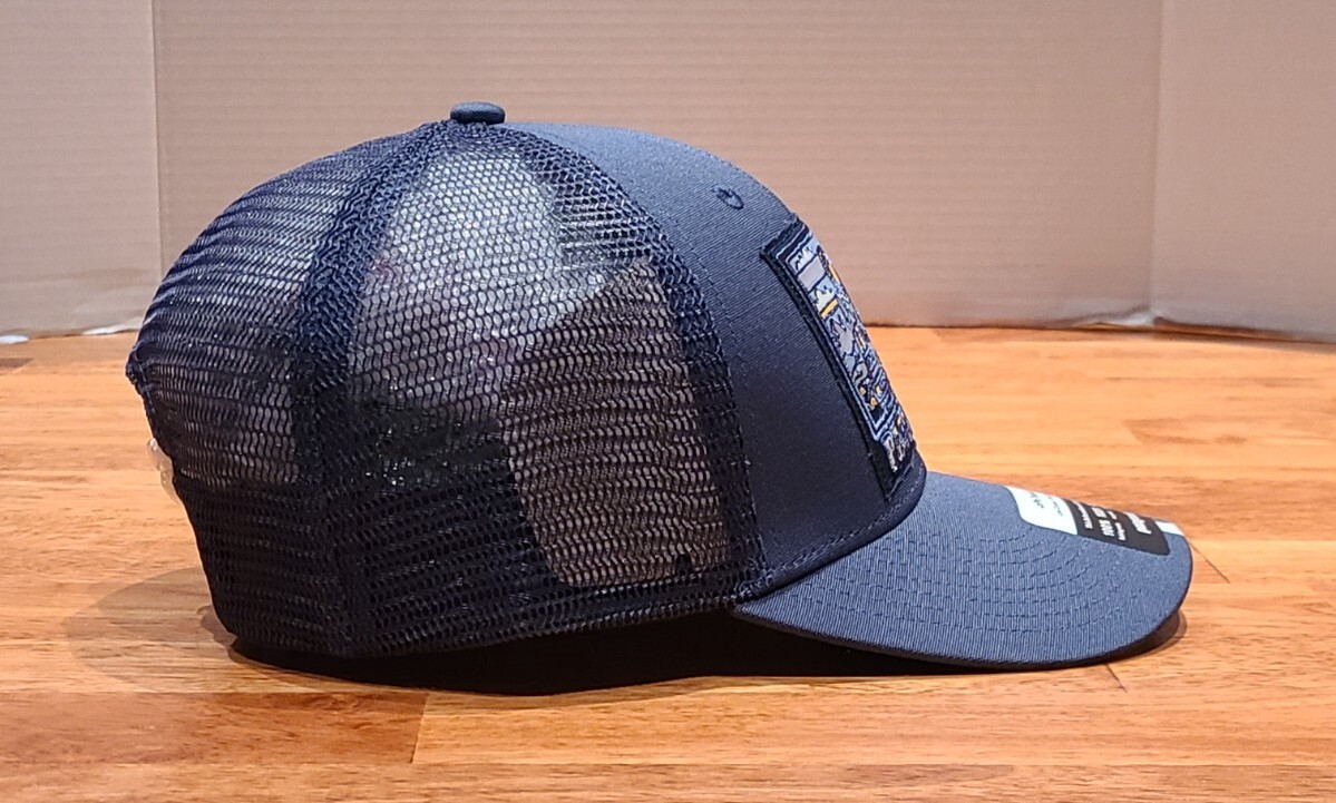 New! Patagonia Summit Road LoPro Trucker Hat Dolomite Blue Snapback Unisex