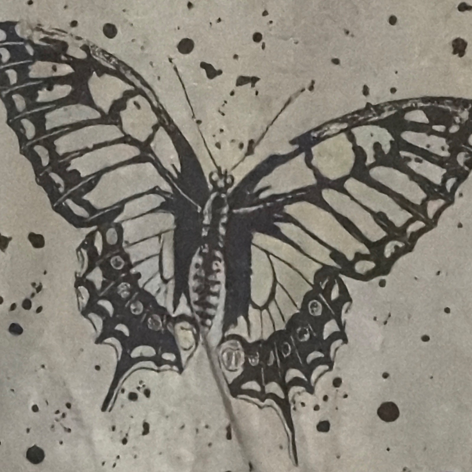 Cut & Paste Womens Gray Butterfly Graphic Crew Neck T-Shirt Short Sleeve Size M
