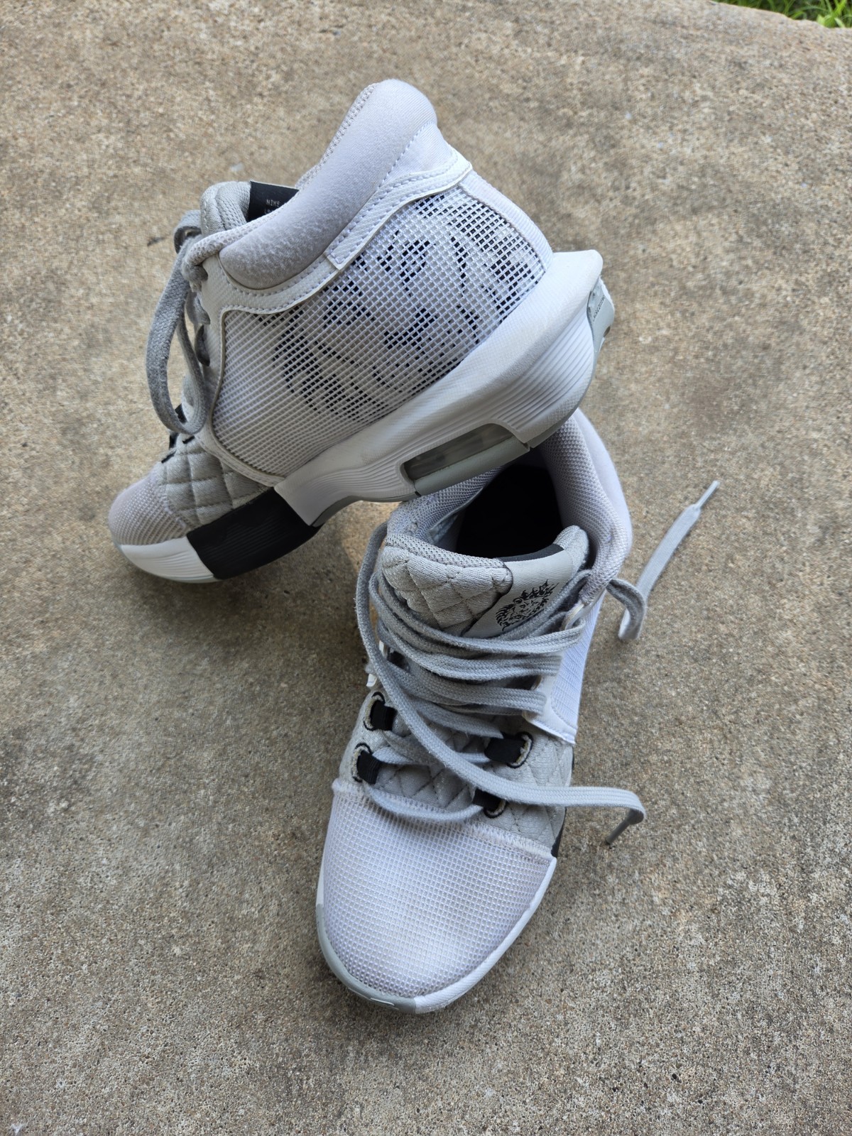 Nike LeBron Witness 8 Men’s Mid Top Basketball Sneakers Mesh FB2239-100