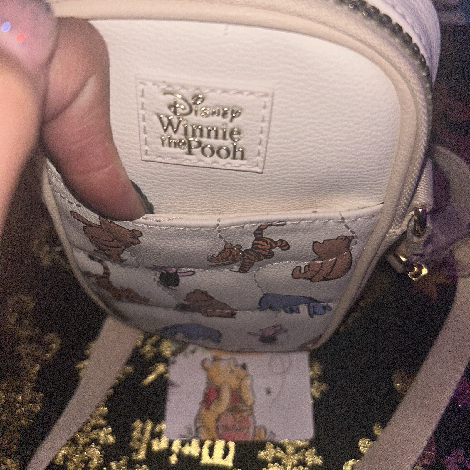 Disney Winnie The Pooh & Friend’s Crossbody Cellphone Bag With Chain New HTF