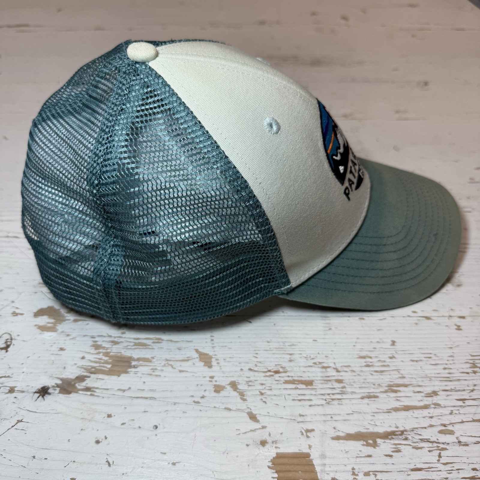 Patagonia Embroidered Spellout Mesh Lo Pro Trucker Hat Blue White