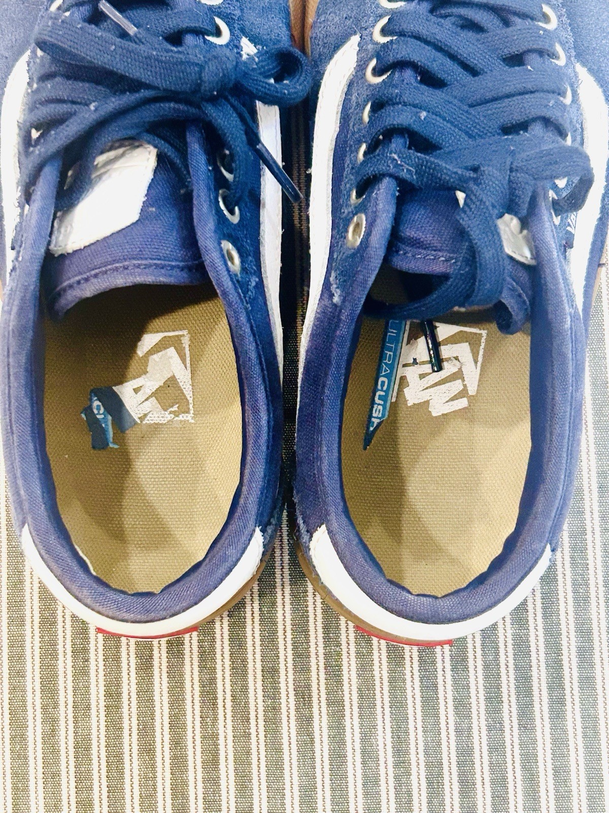 Vans Low Top Blue Skater Shoe