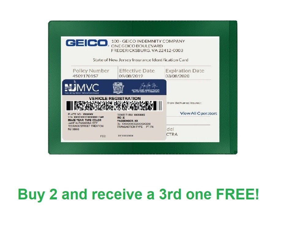 Green Car Insurance Registration Document Holder – 1 Pack