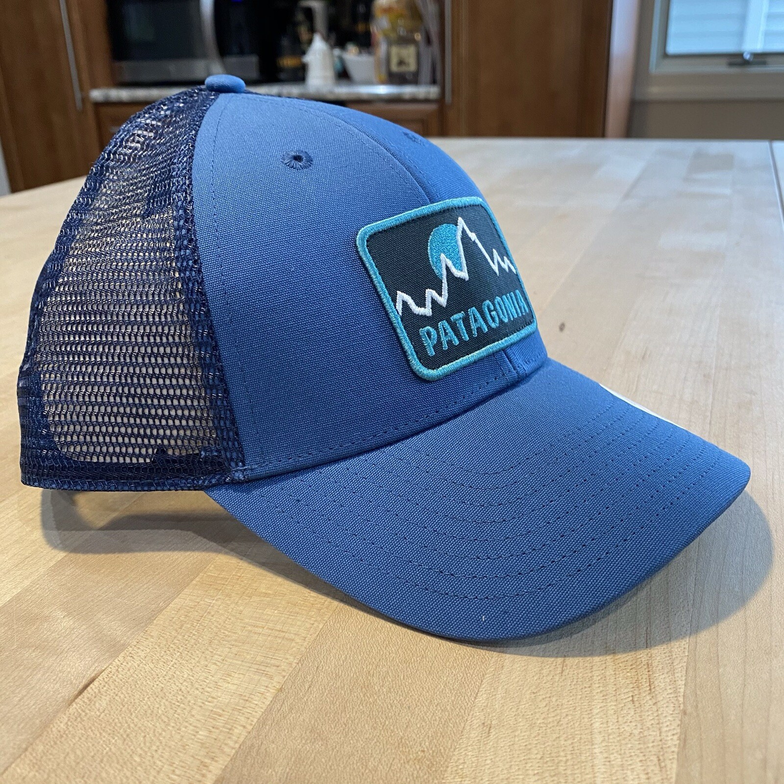 Patagonia Firstlighters Badge Lopro Trucker Hat – New With Tags – Glass Blue