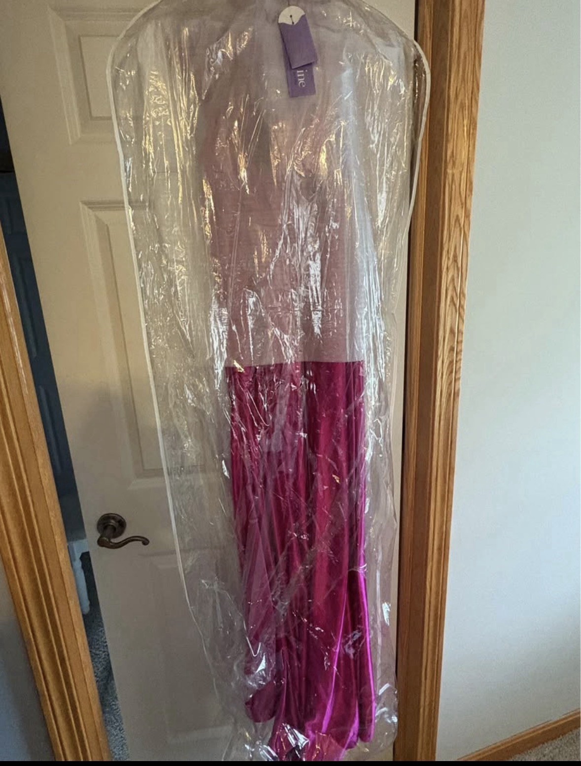 Ladivine by Cinderella Divine dress