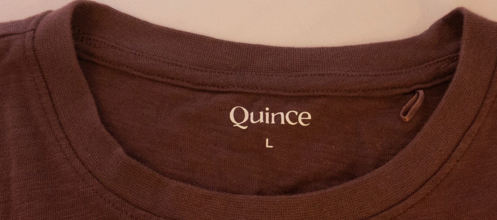 Quince Women’s Minimalist 100% Organic Cotton Tee L Cocoa Brown Quiet Luxury