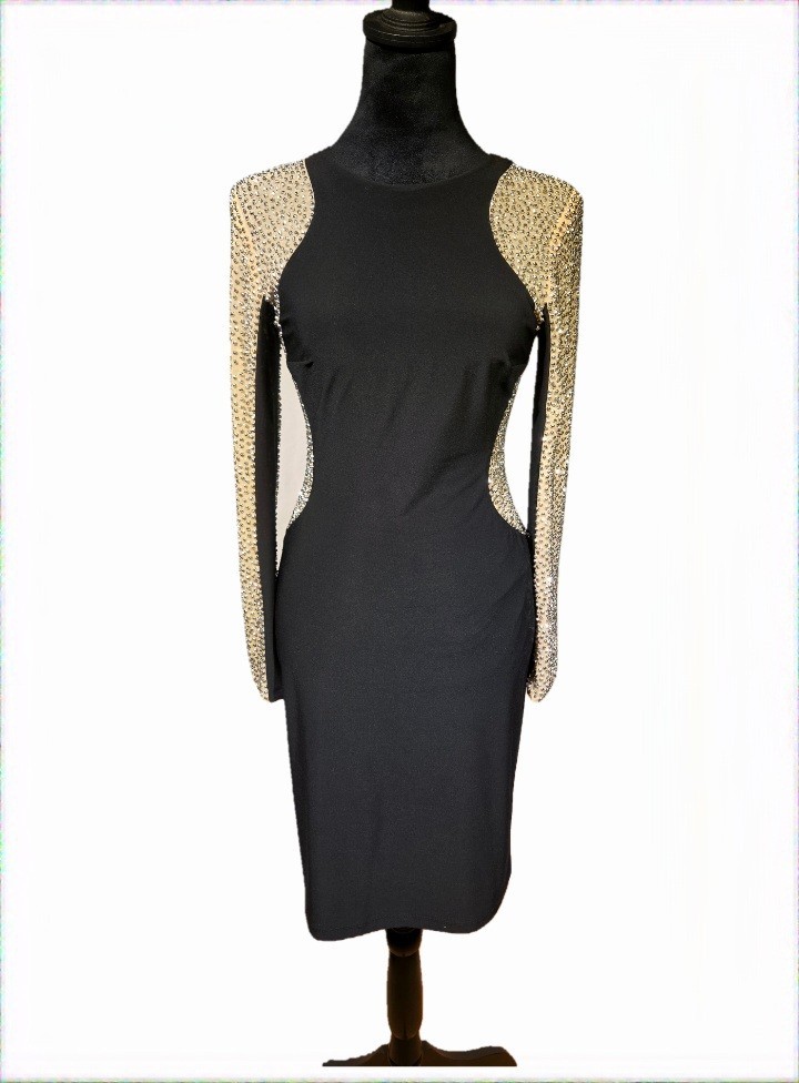 XSCAPE Black Beaded Mesh Long Sleeve Sheath Dress High Neck Zip Knee Size 2