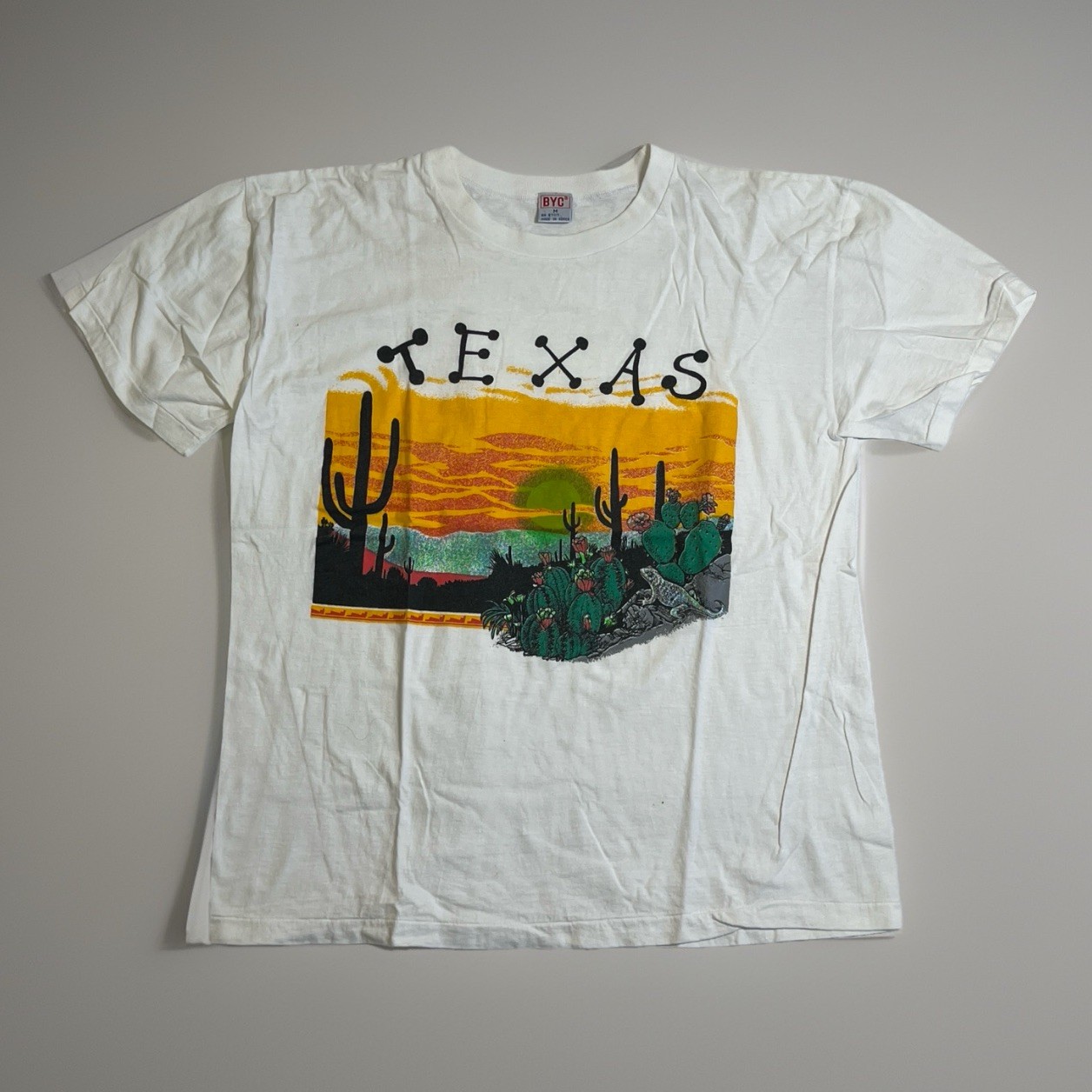 Vintage Texas Desert T-Shirt Cactus Graphic USA BYC Size M 90s