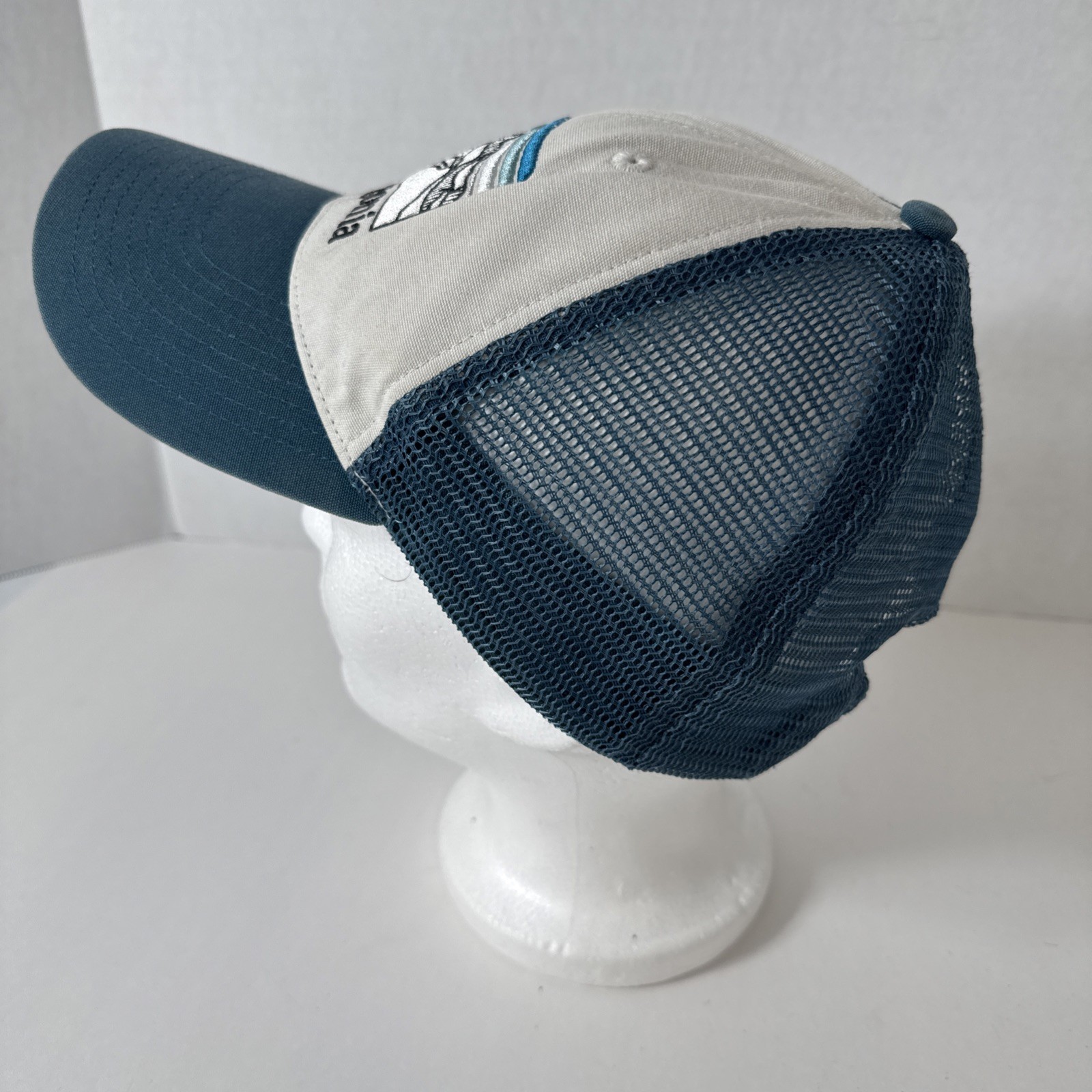 Patagonia Line Logo Ridge Lo Pro Hat Cap Snapback Trucker Mesh Adult Mens