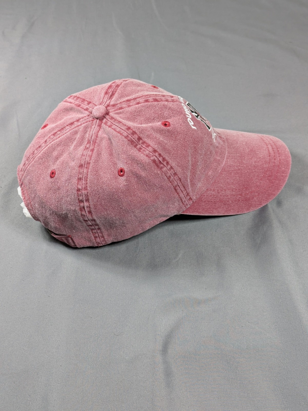 Vintage Young Money Hat Strap Back Mens Red Chambray Baseball Lil Wayne Y2K Rap