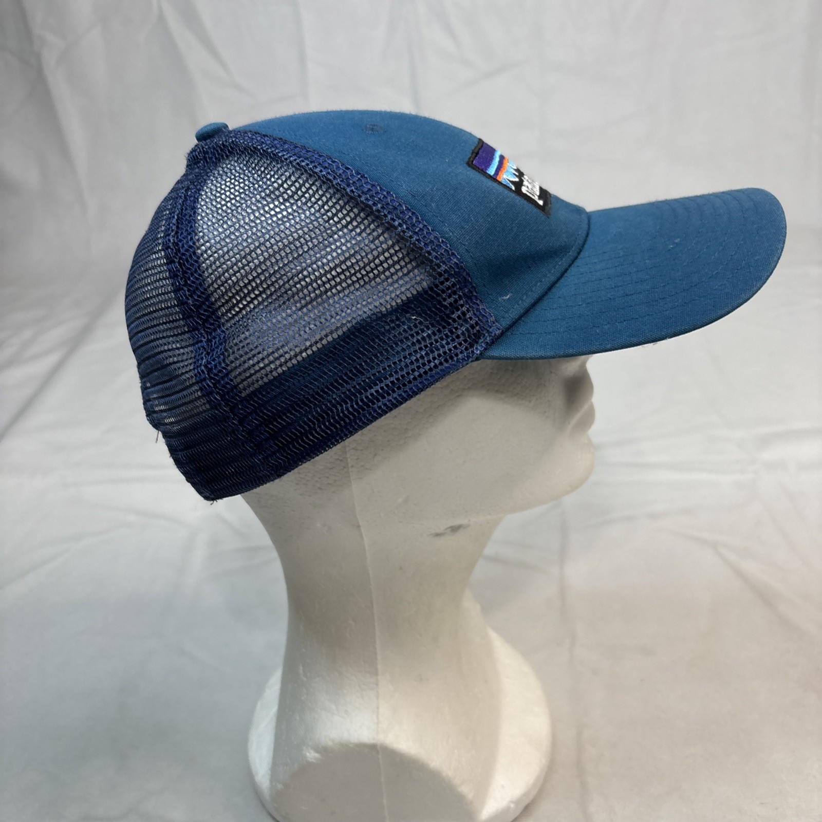 PATAGONIA CAP P6 Logo Lo-pro Trucker Cap Blue Hat Unisex Snapback
