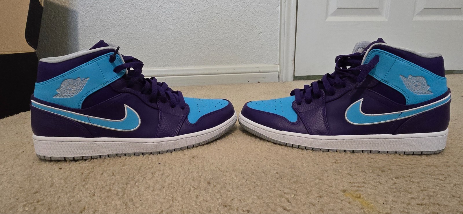 Size 12 – Air Jordan 1 Mid Hornet