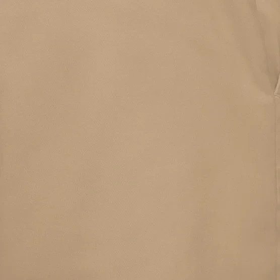 Banana Republic Men’s Chino Short