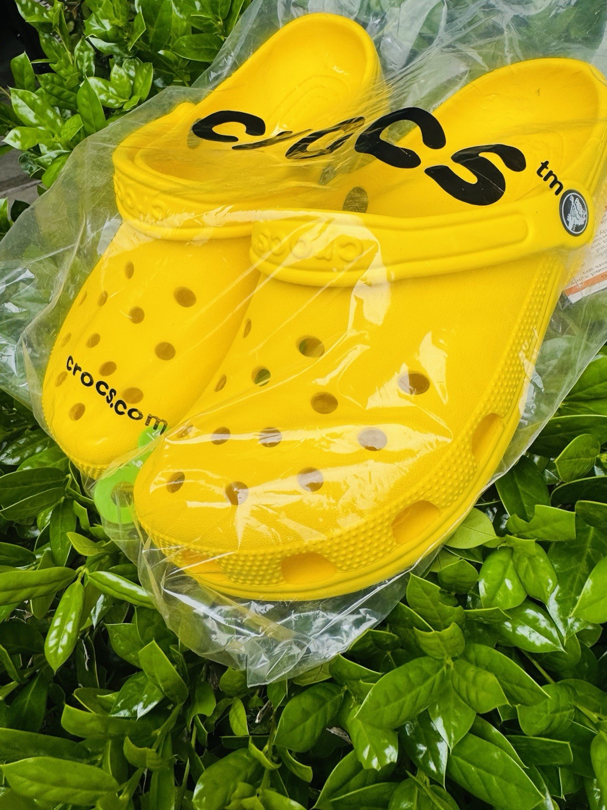 Crocs Yellow 9M men’s – 11W Women’s Classic Clogs Fast Shipping. 🐊