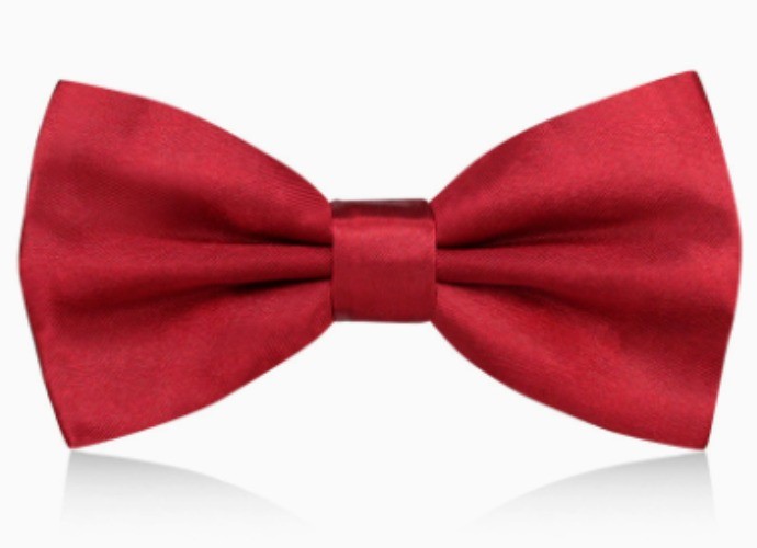 Mens Groom Suit Bowtie PreTied Necktie Four Style Formal Wedding Party Tuxedo