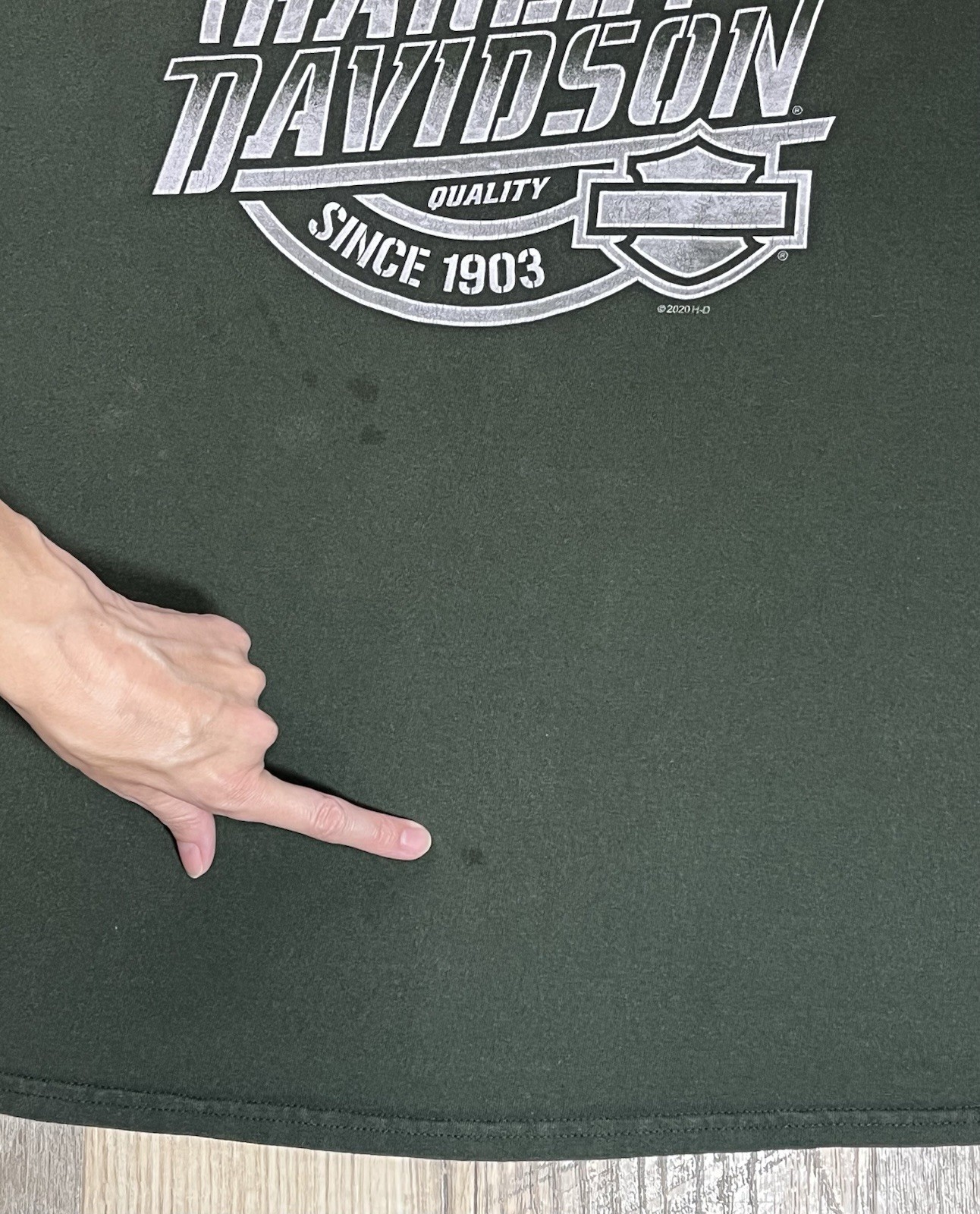 HARLEY-DAVIDSON Blue Ridge Hickory NC Green Long-Sleeve T-Shirt Men’s 2XL HOLES