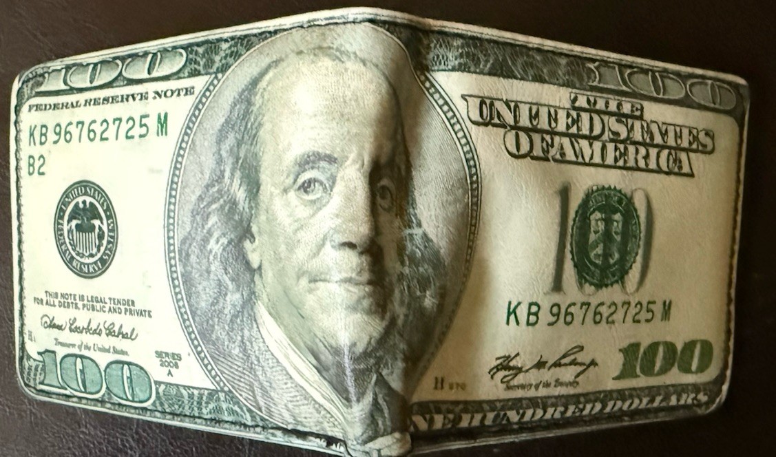 Buckle Down Men’s Novelty Fashion Bi-Fold Wallet “$100 Bill” Black Green