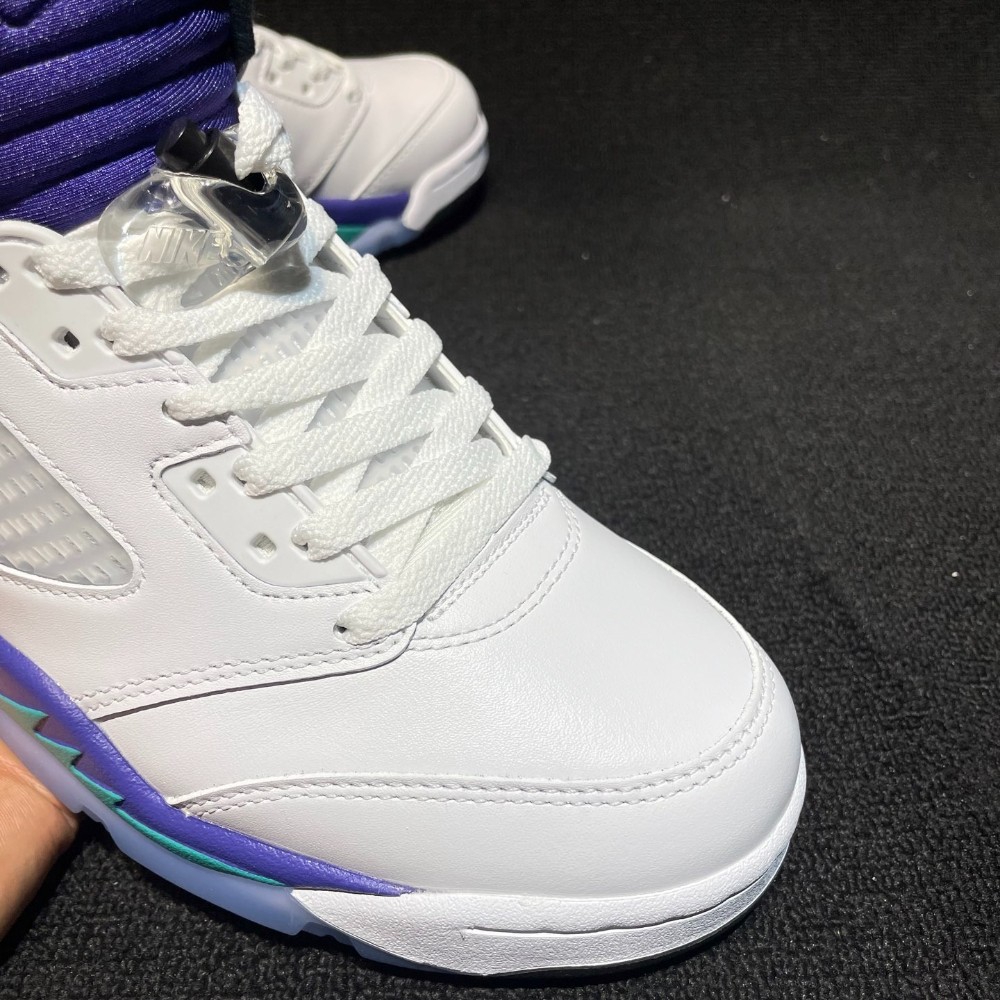 AJ 5 Retro Grape 2025 HQ7978-100 Men Size