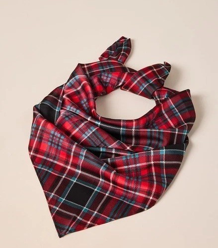 francesca’s Women’s Patrice Plaid Print Satin Fabric Scarf One Size NWT Red/Grn