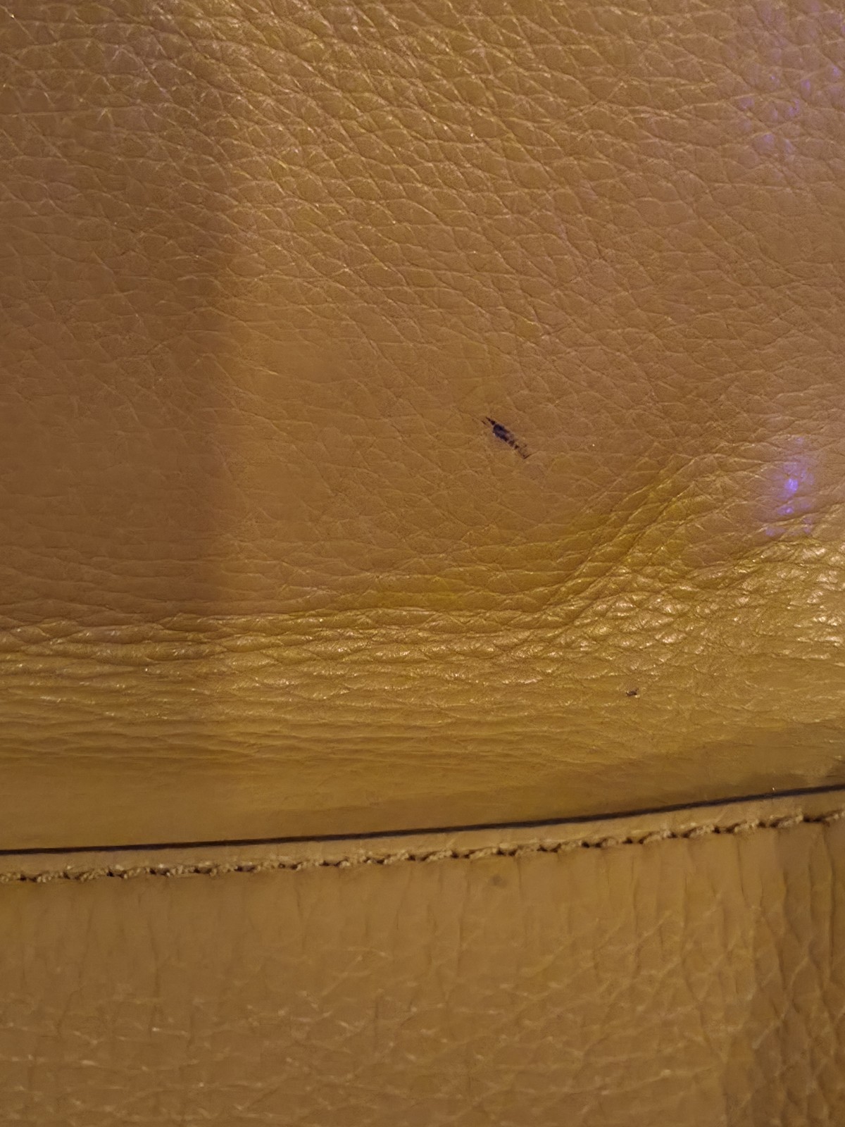 Tory Burch Brown Pebbled Crossbody Bag with Logo, Magnetic Closure, Gold