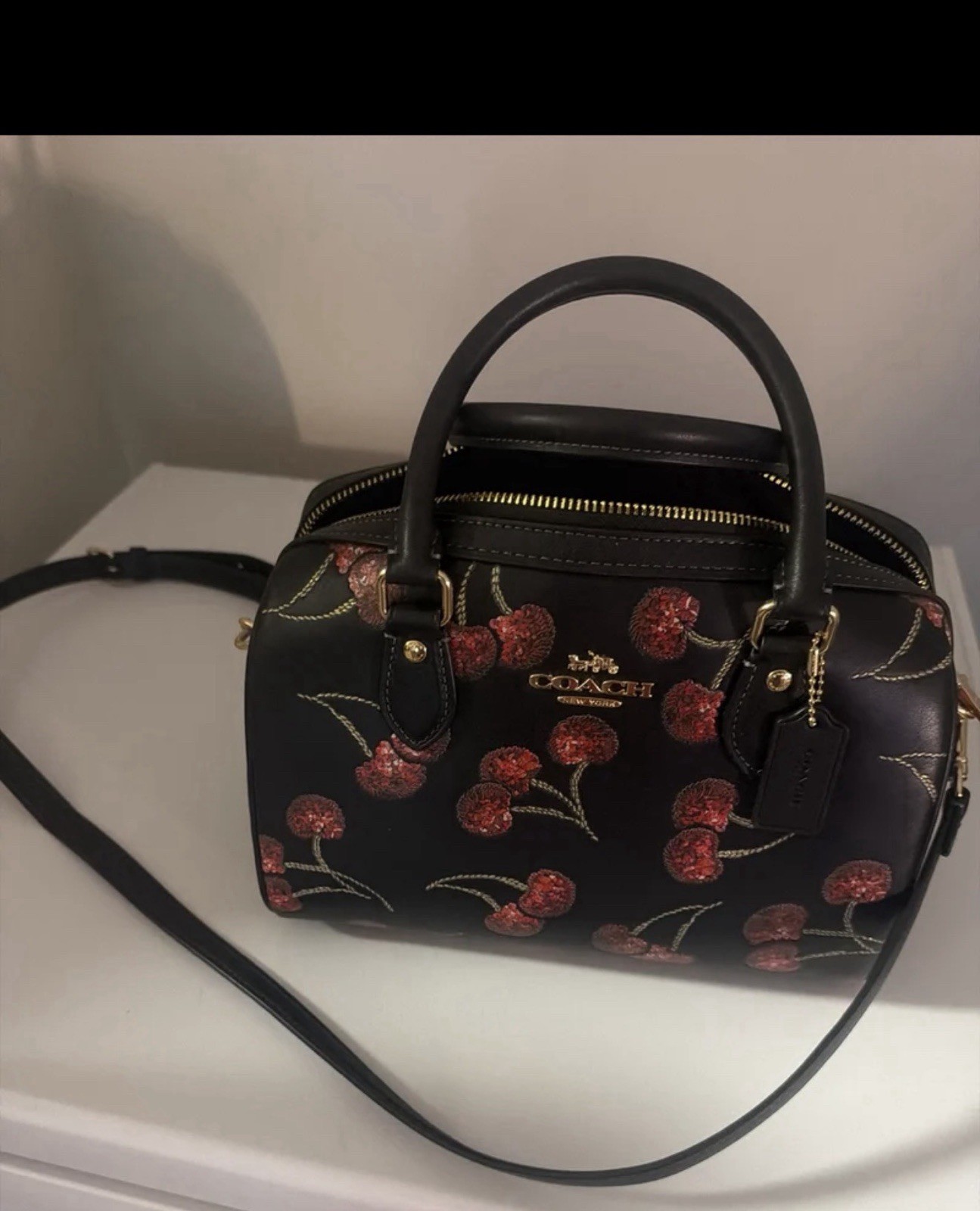 Coach Rowan Satchel Bag With Cherry
