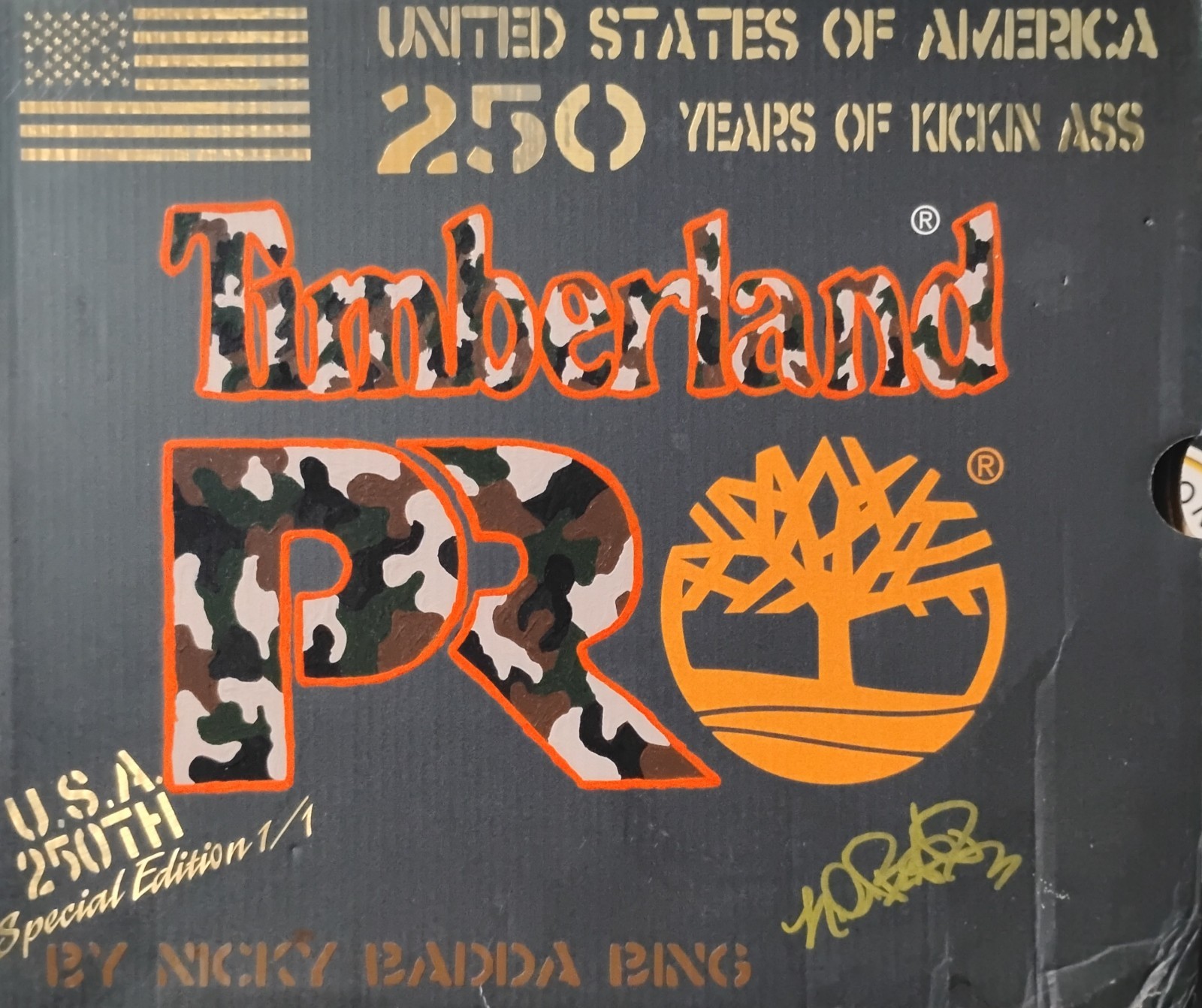 Timberland Pro Direct Attach 6” Insulated Steel Toe Boot 10.5 USA 250th 1/1