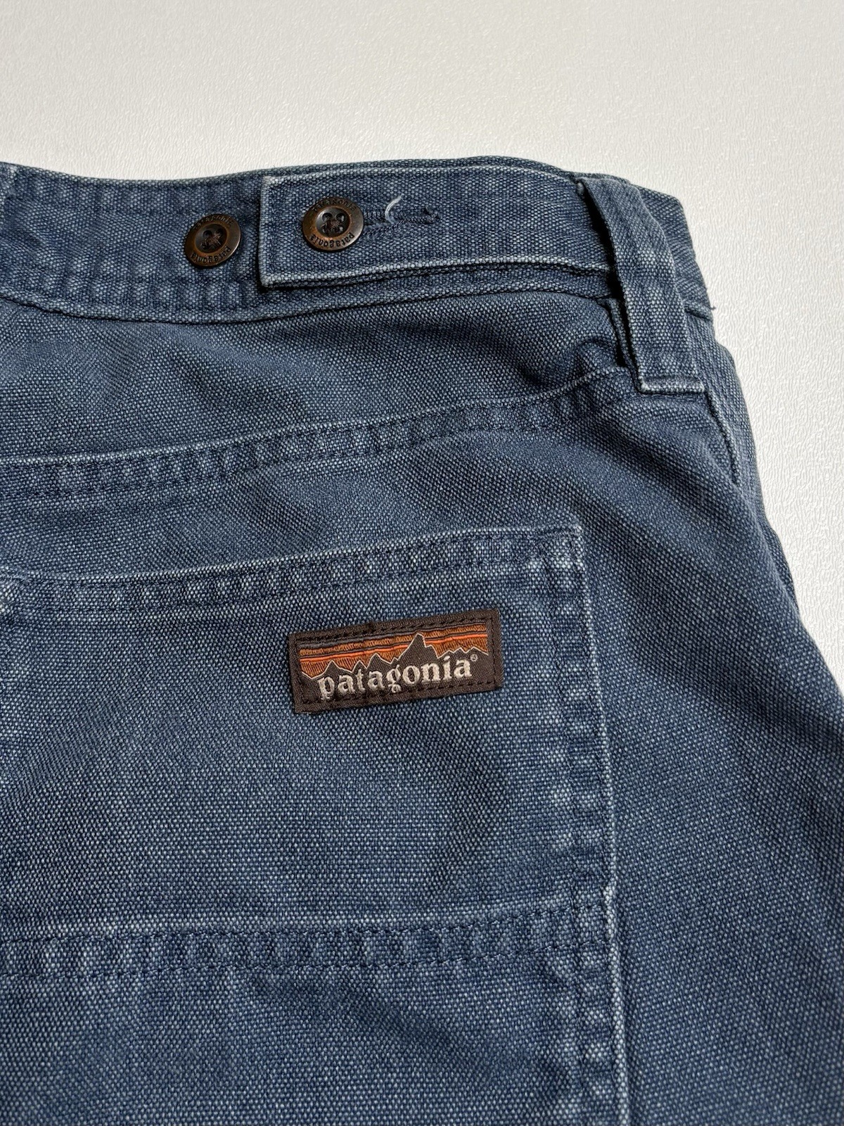Patagonia All Seasons Double Knee Carpenter Hemp Blend Pants Womens 4 Blue