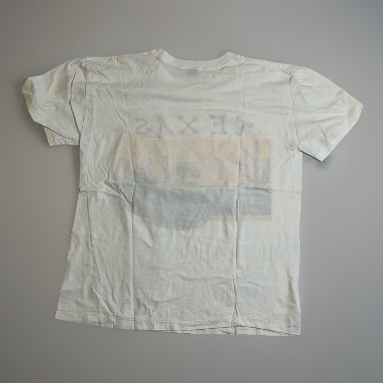 Vintage Texas Desert T-Shirt Cactus Graphic USA BYC Size M 90s