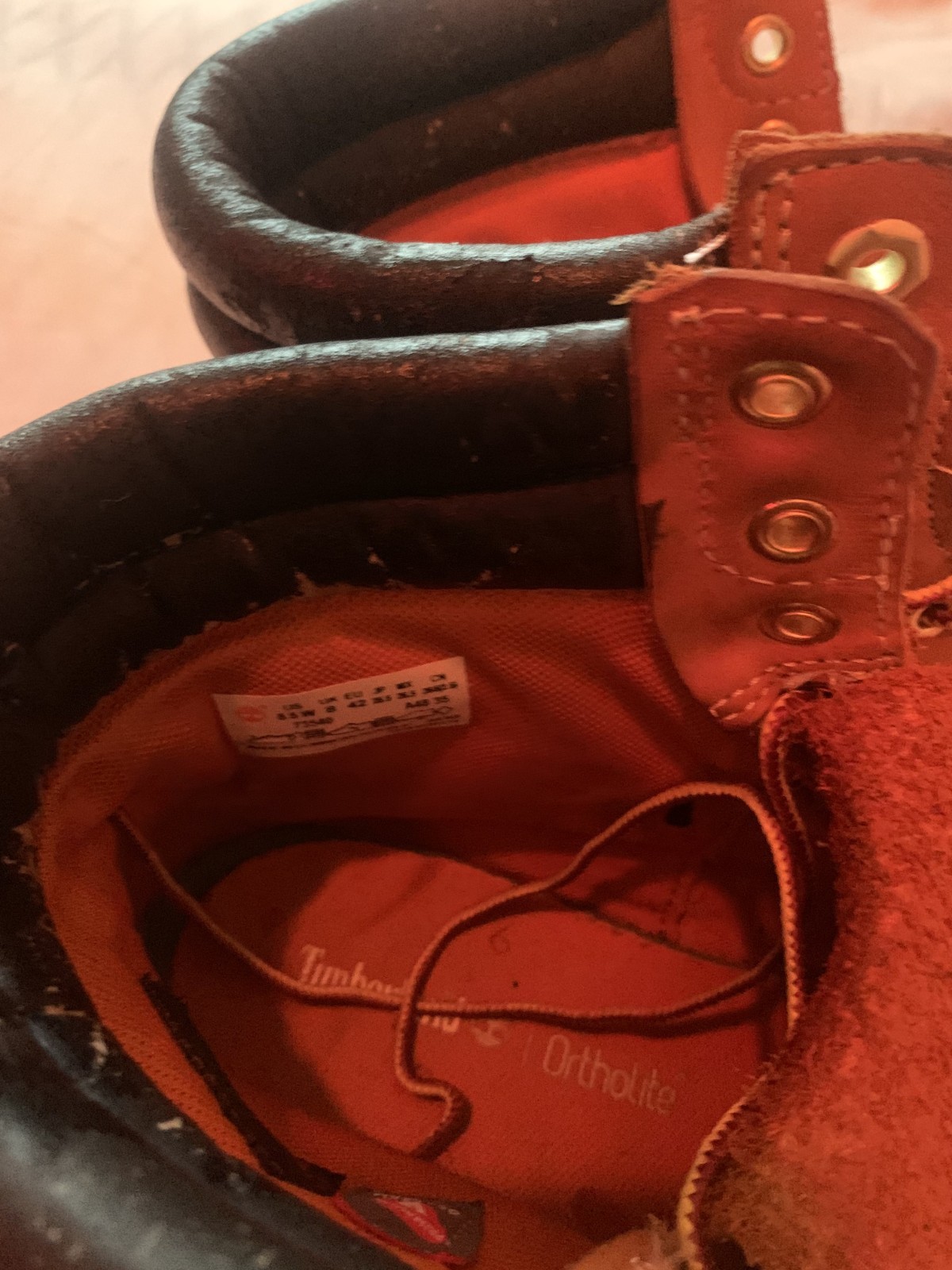 Timberland 6-Inch Basic Waterproof Boot Size 11 US